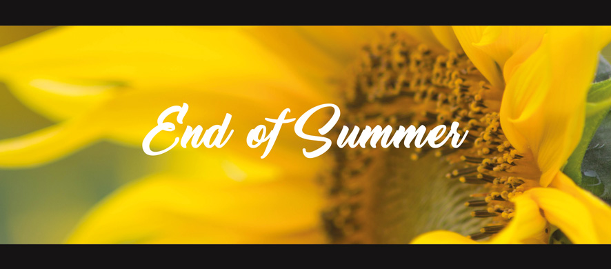 KK_EndofSummer